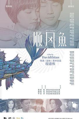 邻家小姐